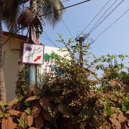 Sugar Plum Macedo Palms Bed & Breakfast บากา ภายนอก รูปภาพ