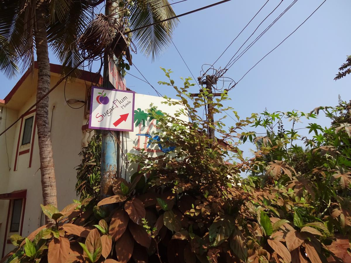 Sugar Plum Macedo Palms Bed & Breakfast บากา ภายนอก รูปภาพ