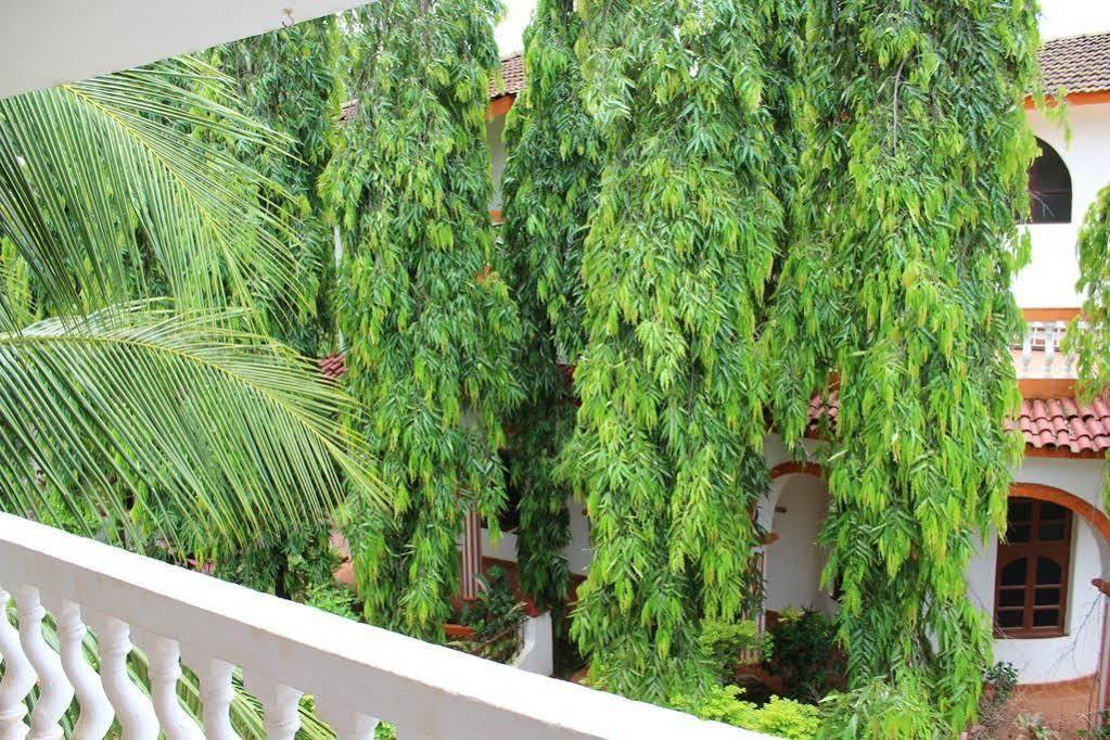 Sugar Plum Macedo Palms Bed & Breakfast บากา ภายนอก รูปภาพ